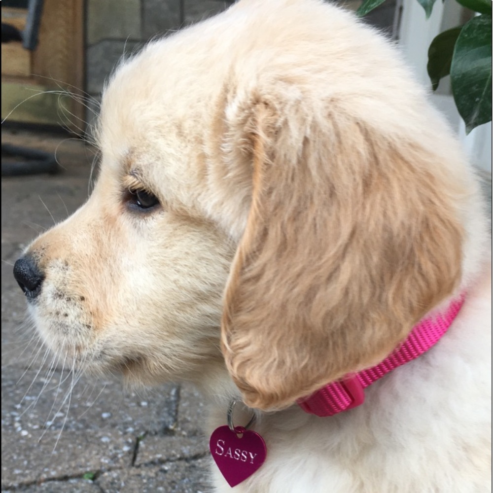 Meet your Posher, Deborah